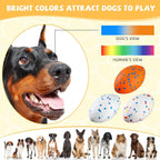 Durable Football Dog Toy for Aggressive Chewers – Floating Fetch