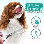 Professional 5-Piece Dog Grooming Scissors Set - Safety Round Tip Stainless Steel Kit