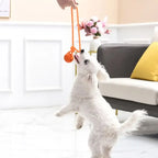 Cotton Rope Ball on Rope – Interactive Dog Toy for All Sizes
