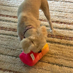 Funny Squeaky Dog Toys – Parody for Small to Large Dogs