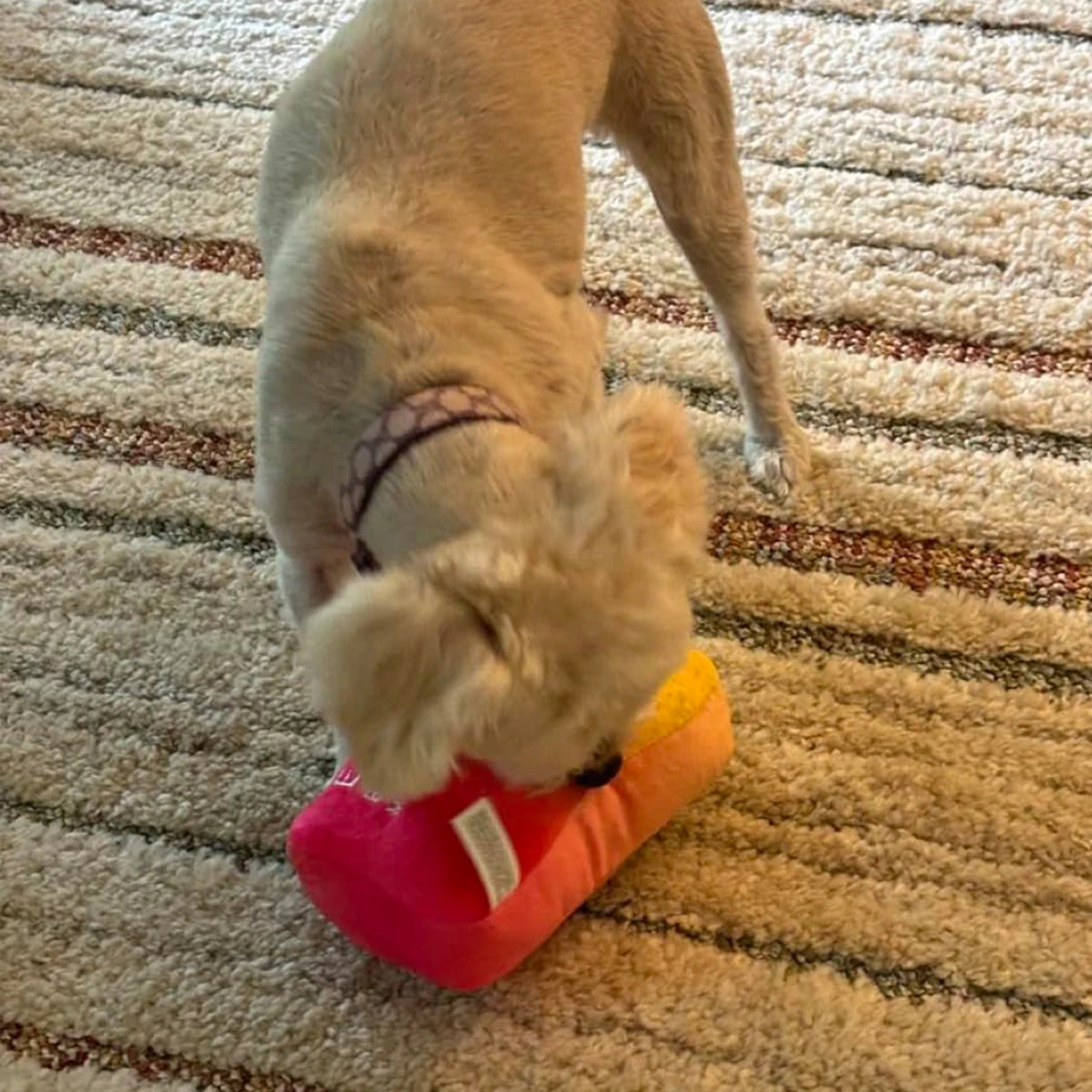 Funny Squeaky Dog Toys – Parody for Small to Large Dogs