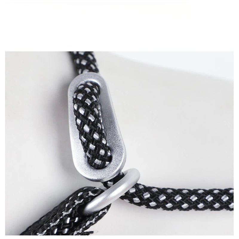 Dog Slip Leash – 2-in-1 Training Control