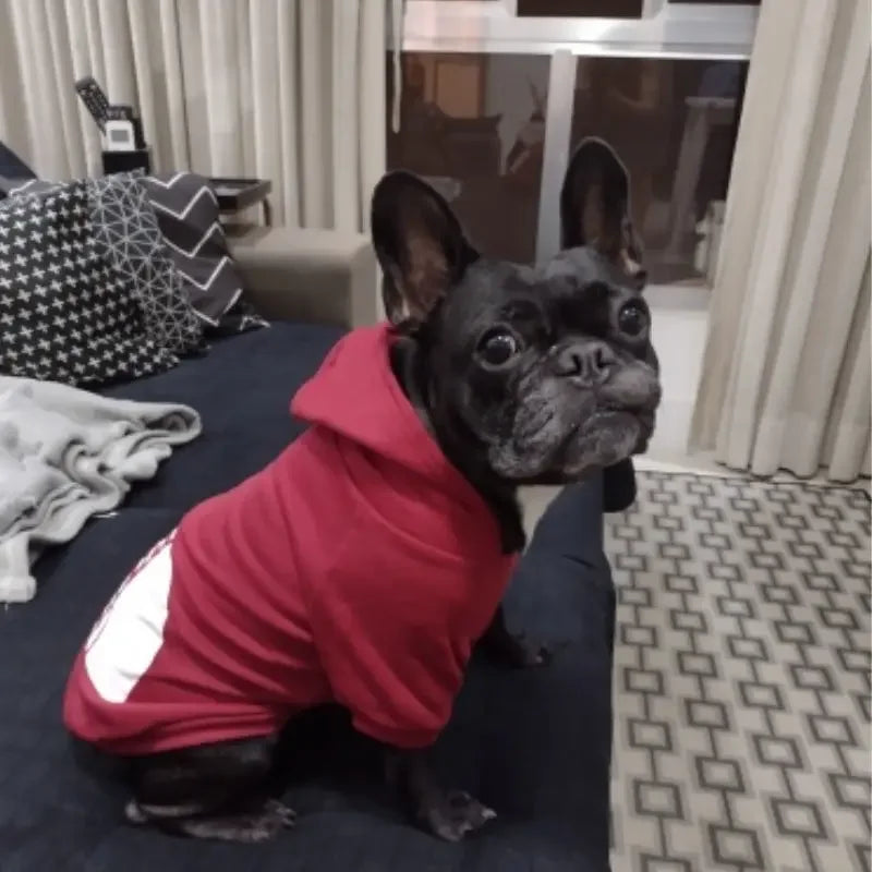 PawPattern XL Dog Hoodie | Black Polyester Winter Jacket for Large Dogs
