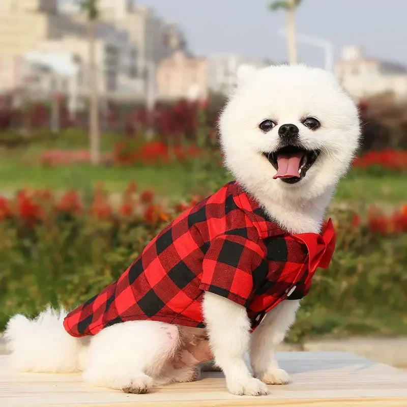 Plaid Dog Vest Coat – Formal Outfit for Small to Medium Dogs