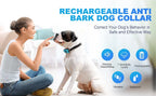 Humane Anti-Barking Dog Collar – Rechargeable & Automatic Vibration Training