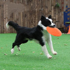 Silicone Flying Disc – Chew-Resistant Training Toy for Dogs, Durable Fetch Disc