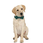 Christmas Dog Collar with Bow Tie – Plaid Snowflake Festive Red