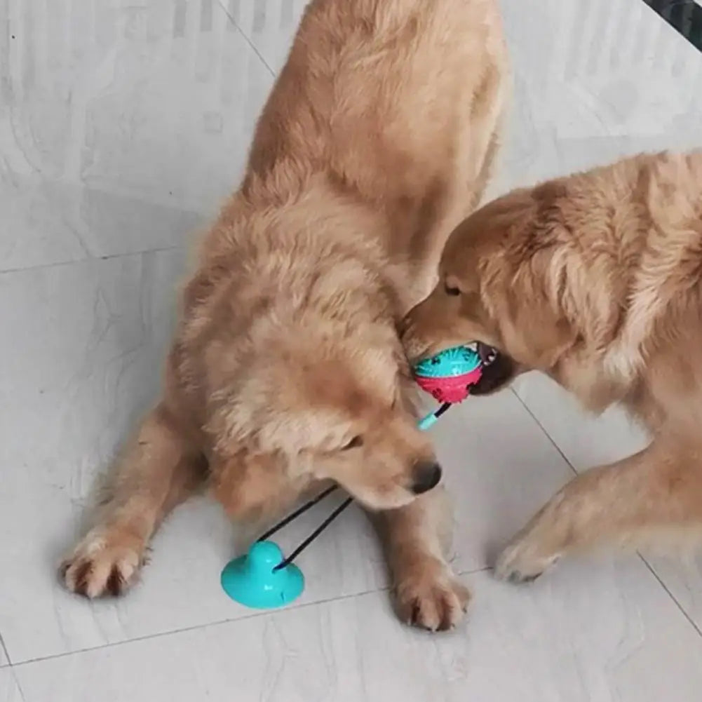 Dog Chew Toys for Aggressive Chewers – Suction Cup, Treat Ball & Dental Care