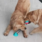 Dog Chew Toys for Aggressive Chewers – Suction Cup, Treat Ball & Dental Care