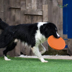Silicone Flying Disc for Dogs - 7 Colors