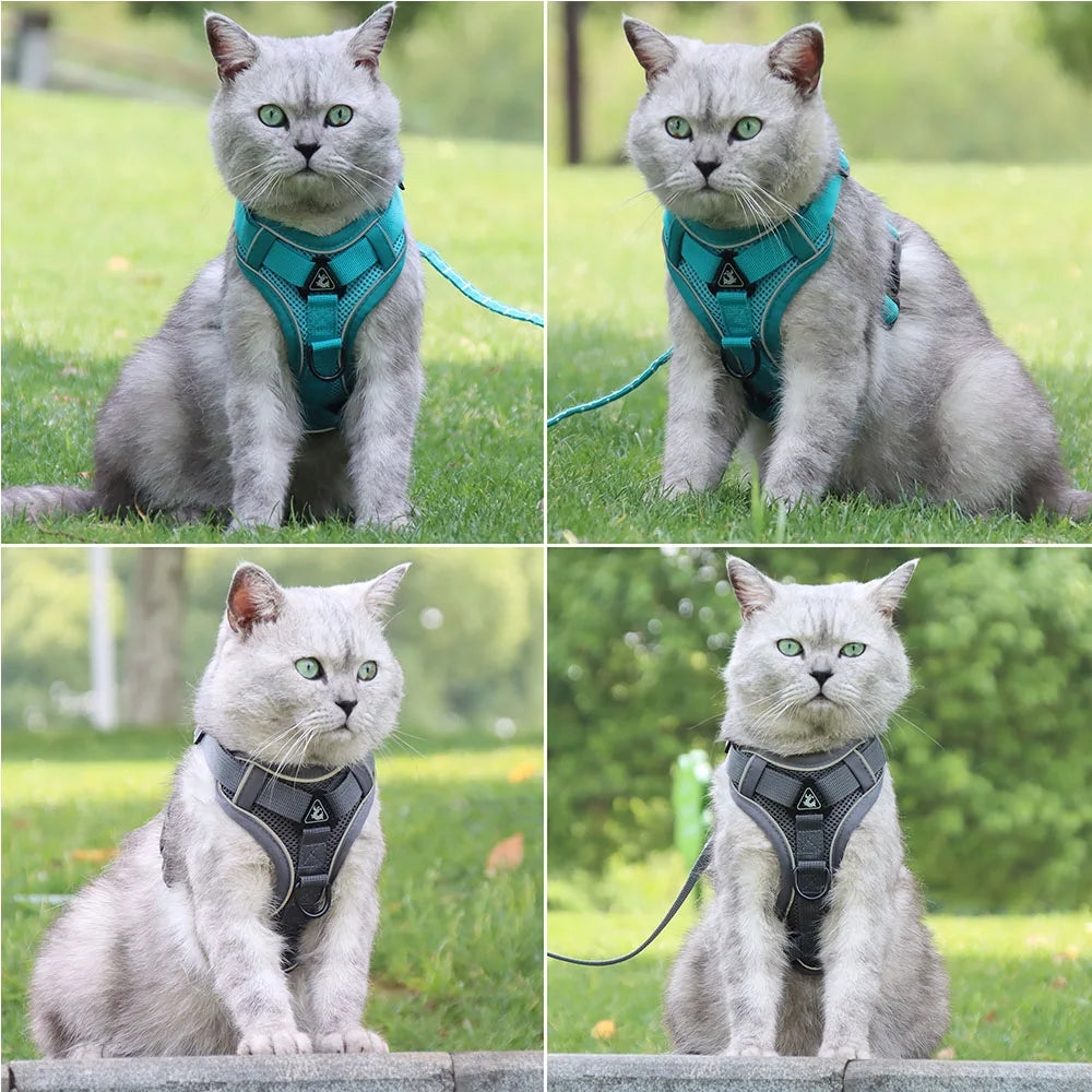 Dog Harness & Leash Set – Padded Adjustable Vest