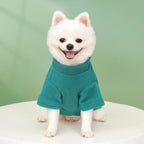 Winter Dog Hoodie – Warm Solid Color Sweatshirt for Small Dogs