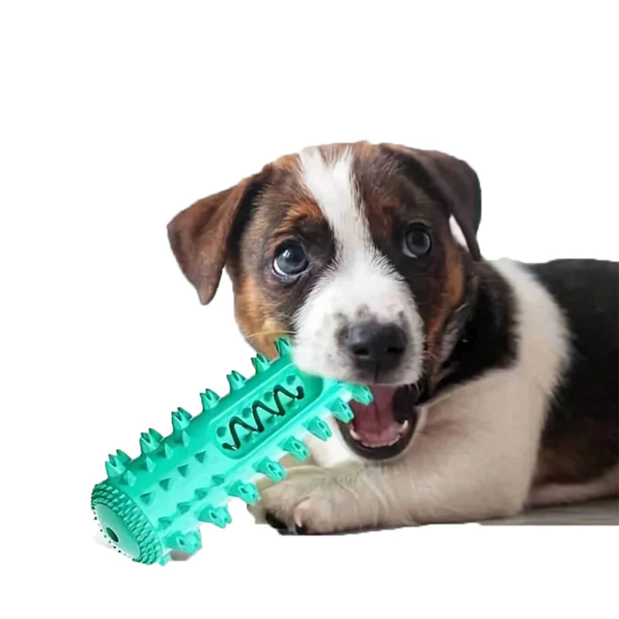 Dog Tooth Chewing Toy – Dental Care TPR Chew