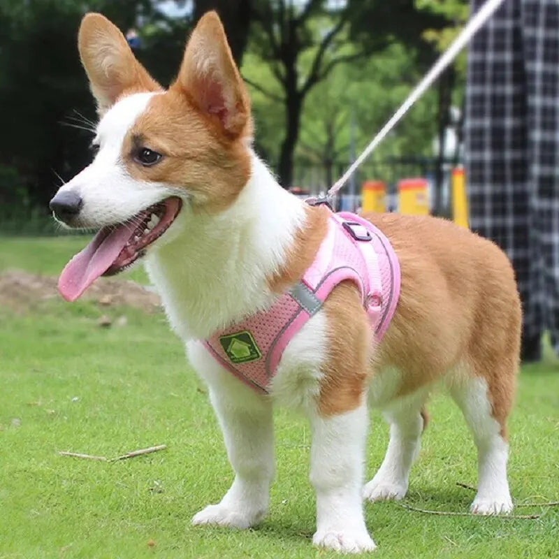 Reflective Dog Harness and Leash Set – No Pull Mesh Vest