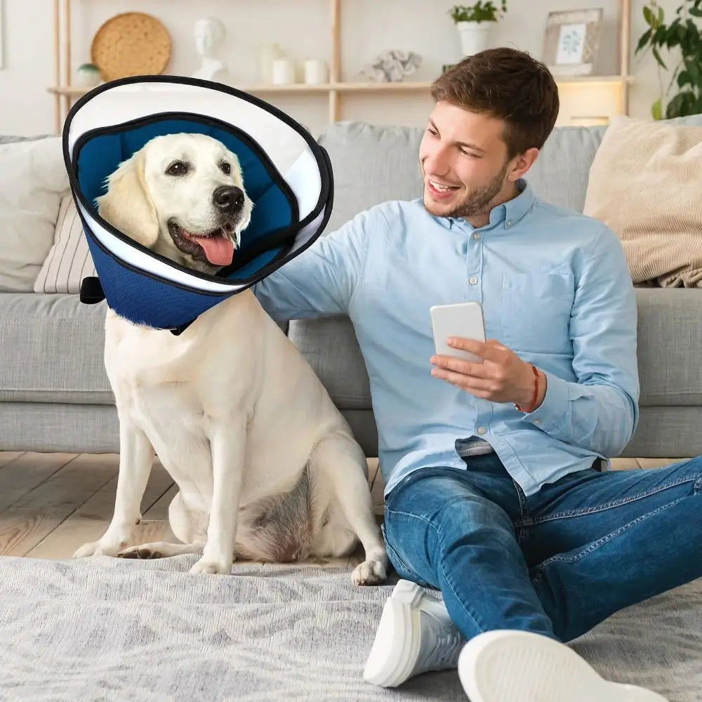 Dog Cone Collar – Soft Anti-Licking Recovery Cone