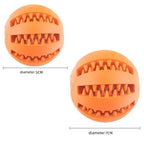 Rubber Chew Ball - Dental Care & Treat Dispensing for Dogs