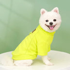 Winter Dog Hoodie – Warm Solid Color Sweatshirt for Small Dogs