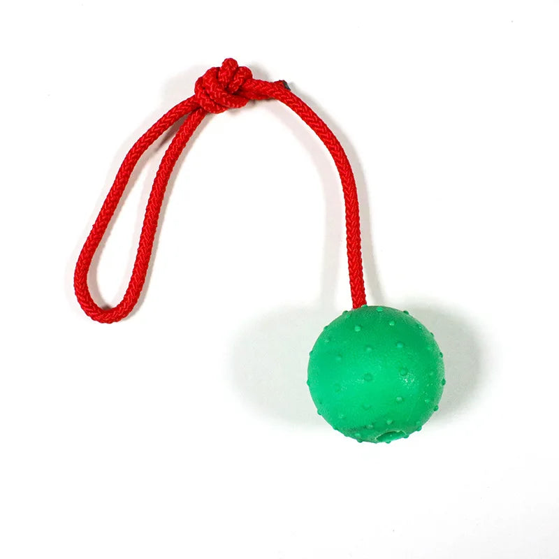 Solid Rubber Ball with Rope – Indestructible Dog Training Toy