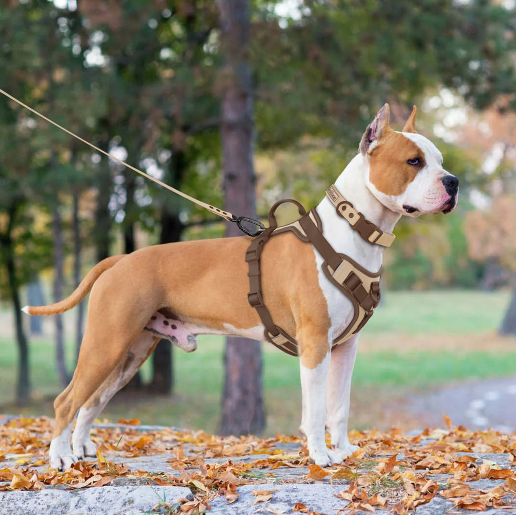 Luxury Dog Harness – No Pull Adjustable Chest Vest