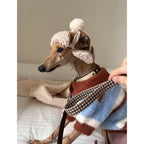 Color Block Striped Dog Sweater – Warm Winter Knit for Small Dogs