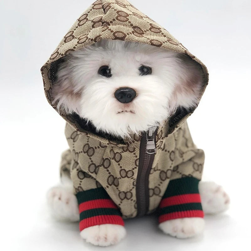 Autumn Winter Dog Jacket Windproof Coat – Polyester for Bulldog & Corgi