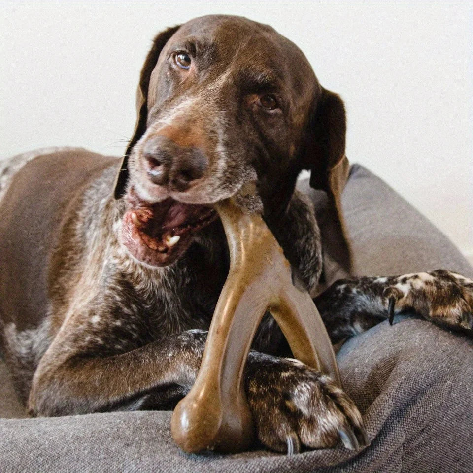 Nylon Bone Chew Toy for Medium & Large Dogs
