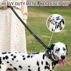 Dog Tactical Leash – Bungee Shock Control