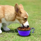 Heavy-Duty Collapsible Dog Travel Bowl – Adventure-Ready Silicone Feeder