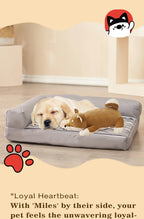 Soft Coral Fleece Dog Blanket 60x40cm – Cozy Washable Winter Throw