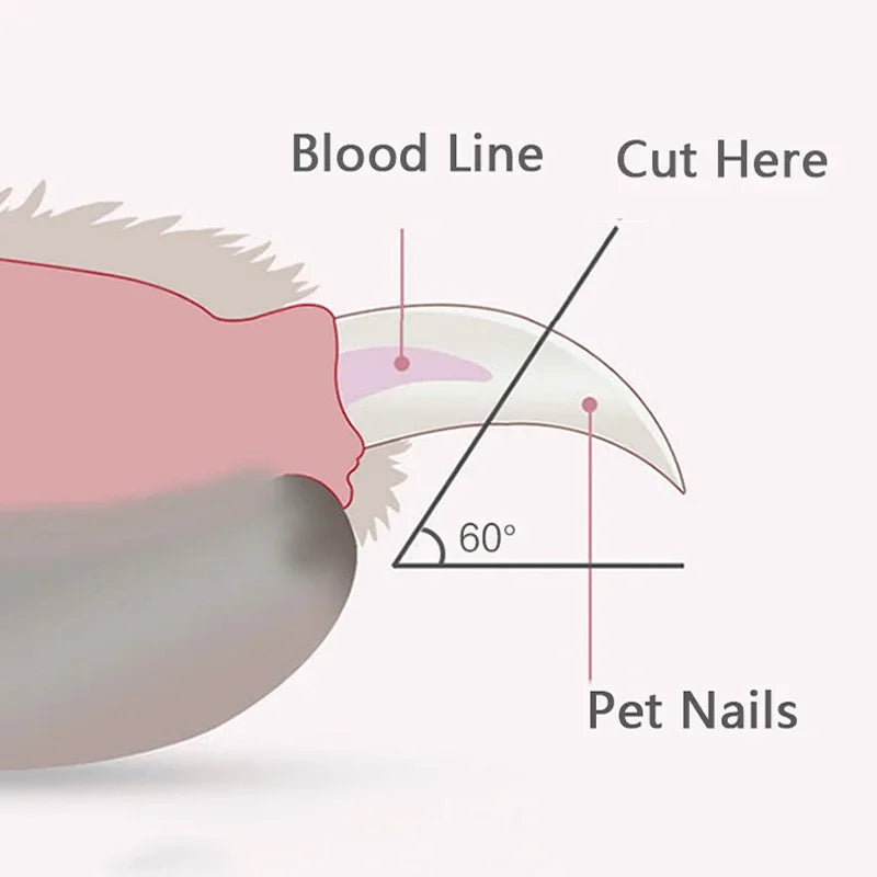 LED Light Dog Nail Clippers - Safe Stainless Steel Paw Trimmer for Dogs