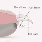 LED Light Dog Nail Clippers - Safe Stainless Steel Paw Trimmer for Dogs