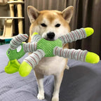 Spiral Plush Dog Toys Set for Small & Medium Dogs