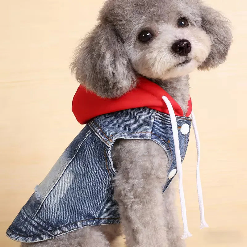 Denim Dog Jacket Set – Blue Hoodie with Gray Cap for Small Dogs