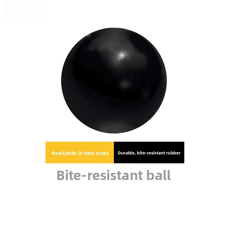 KONG Rubber Chew Ball – Treat Dispensing Dog Toy for Large Dogs