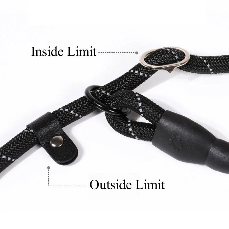 Dog Slip Leash – Anti-Pull Rope Control