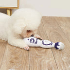 Tequila Bottle Squeaky Dog Toy – Plush Interactive