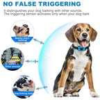 Humane Anti-Barking Dog Collar – Rechargeable & Automatic Vibration Training