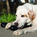 KONG Extreme Goodie Bone Dog Toy – Tough Rubber Chew Toy for Power Chewers