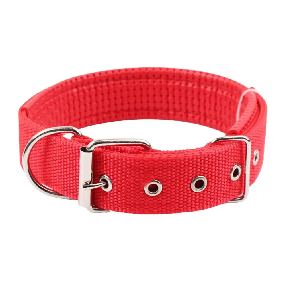 SANWOOD Adjustable Nylon Dog Collar with Traction Ring – Durable Fit All Breeds