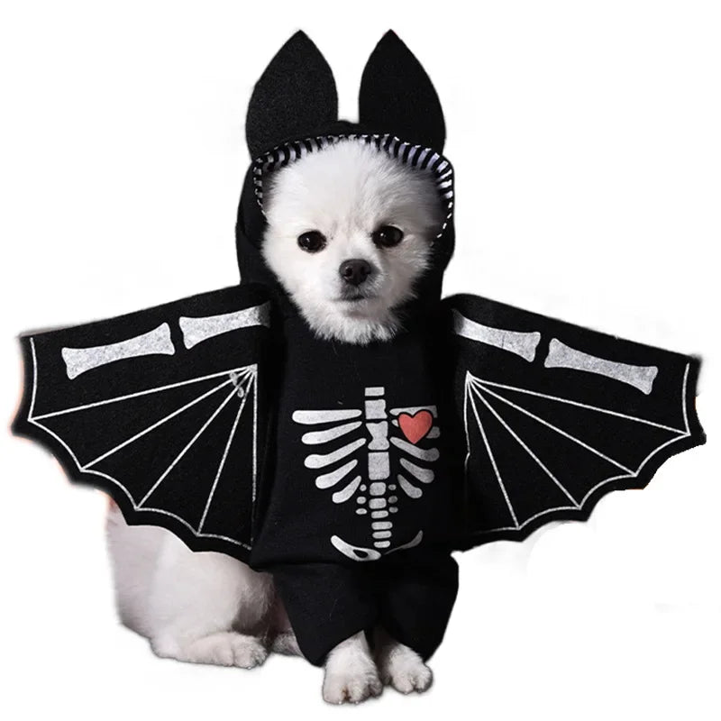 Nonecn Halloween Dog Costume Set with Wig Hat & Dagger Prop