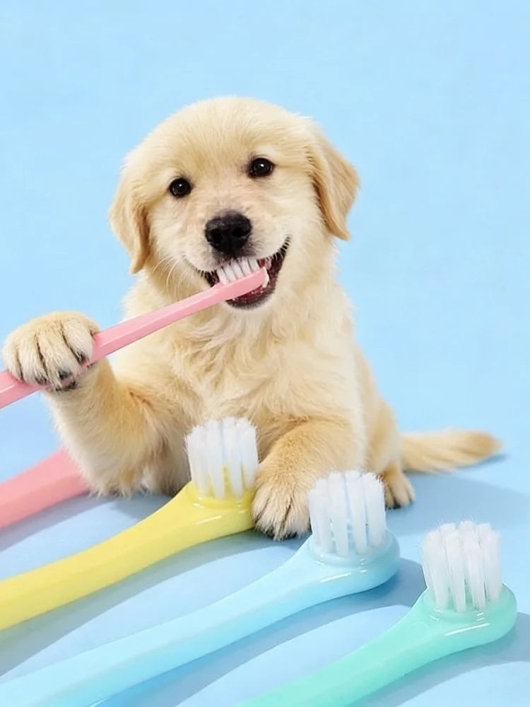 Pet Toothbrush Micro Head – Dog Dental Care Tool