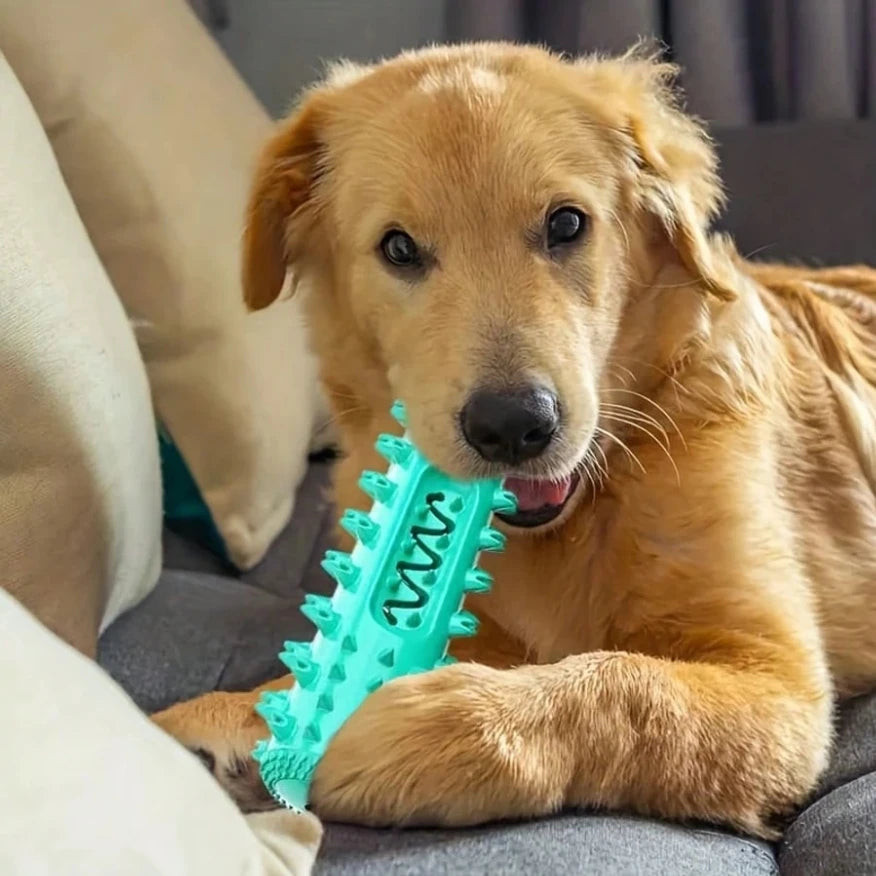 Dog Tooth Chewing Toy – Dental Care TPR Chew