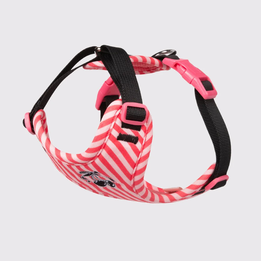 Luxury Dog Harness Set – Stylish Leash & Plush Design