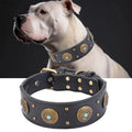 Premium Leather Dog Collar – Necklace Style for French Bulldogs