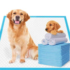 Dog Pee Pads – Super Absorbent Leakproof Training Pads