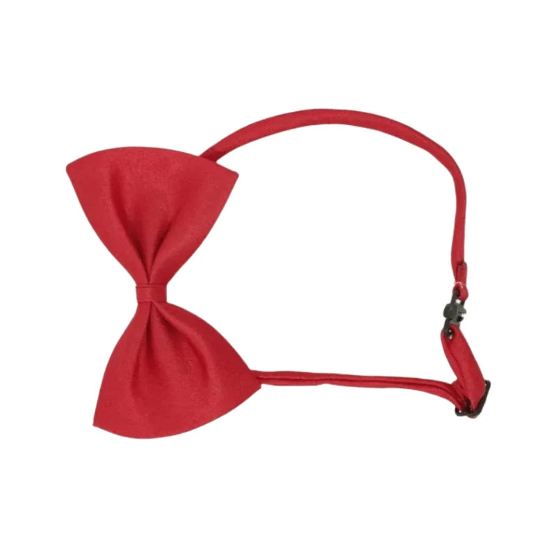 Nylon Bow Tie Dog Collar – Adjustable Stylish Accessory