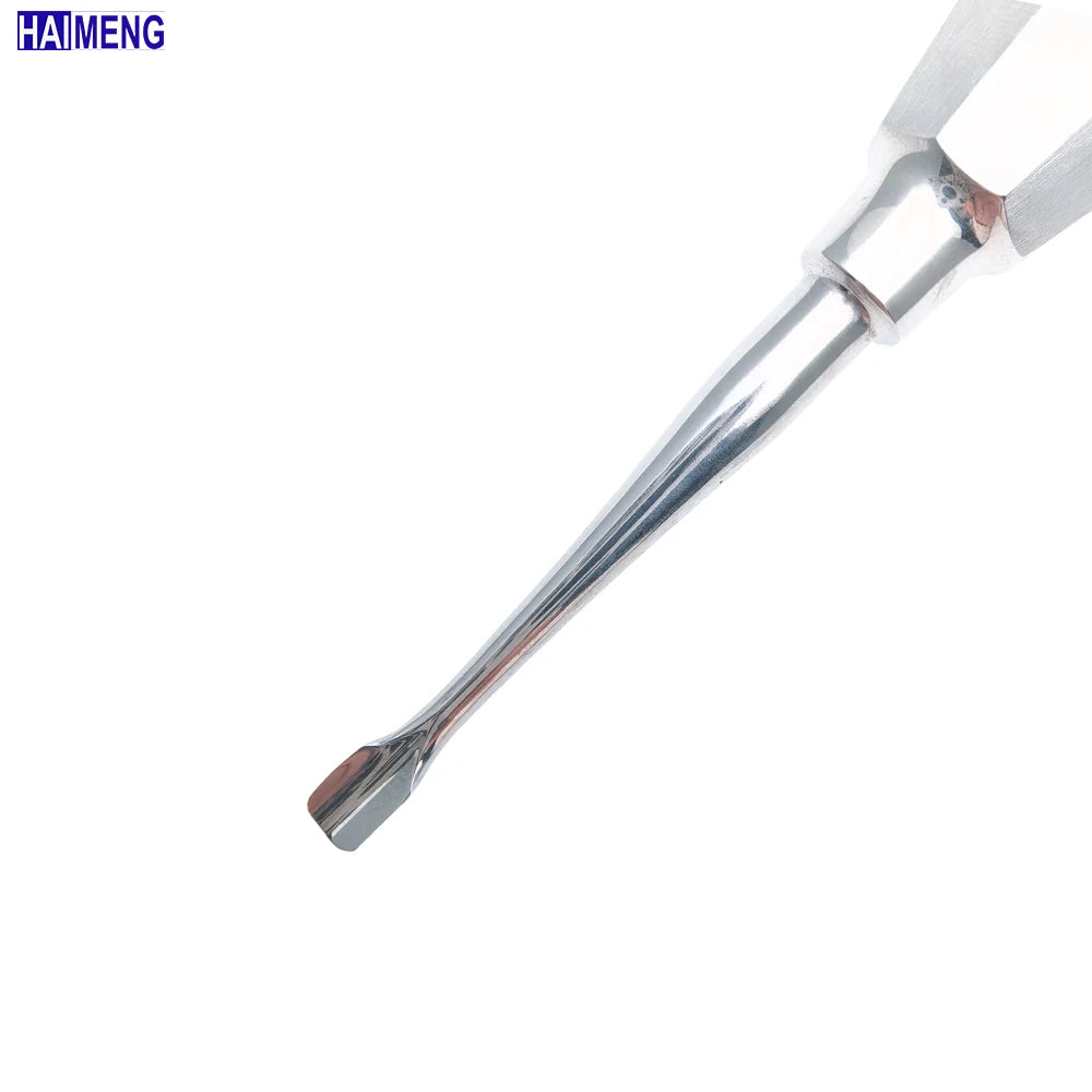 Veterinary Dental Tooth Elevator Set – Stainless Steel Rodent & Small Dog Tool
