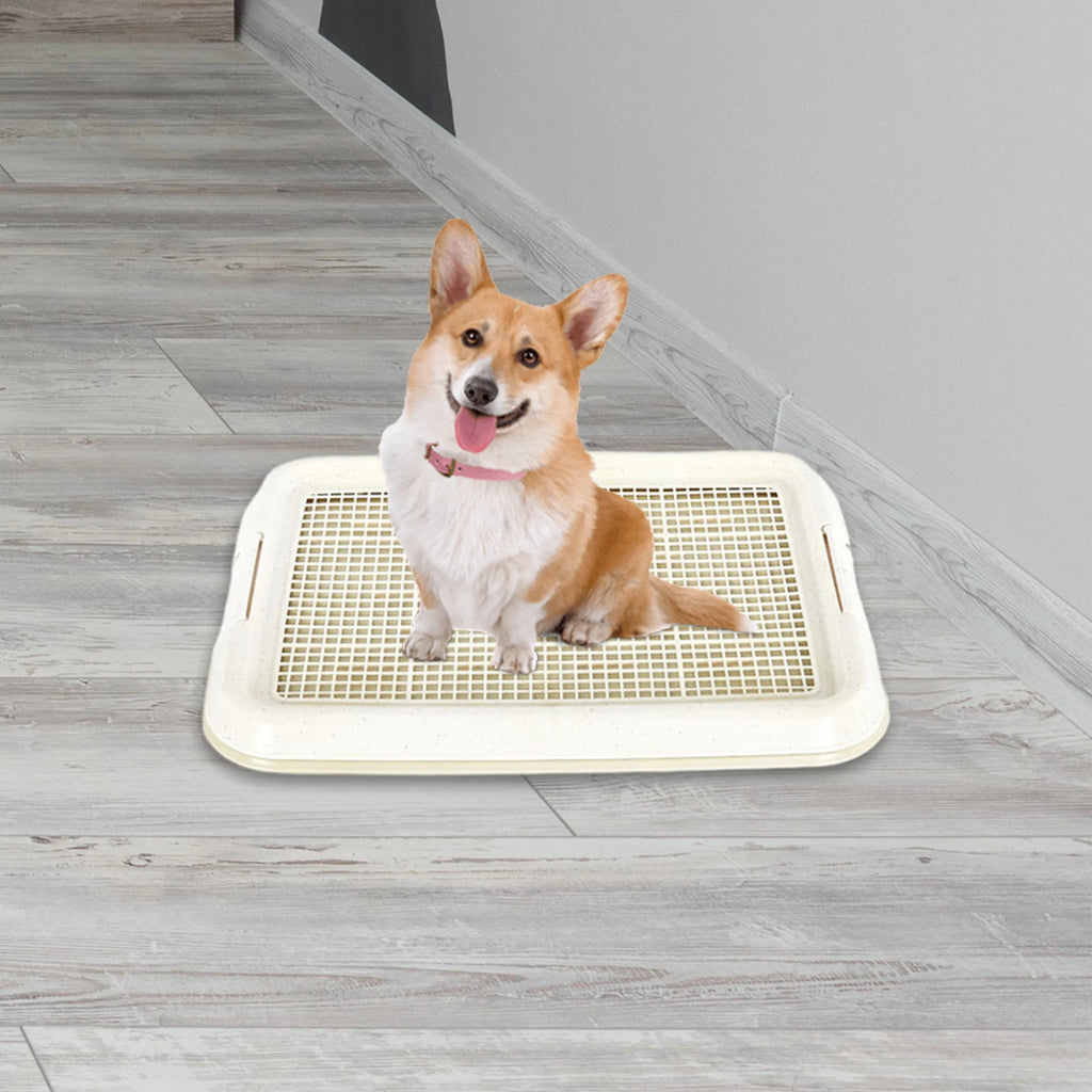 Dog Potty Tray – Anti-Slip Training Toilet