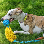 Colorful Rope Tug Dog Toy – Plush Elastic for Puppies