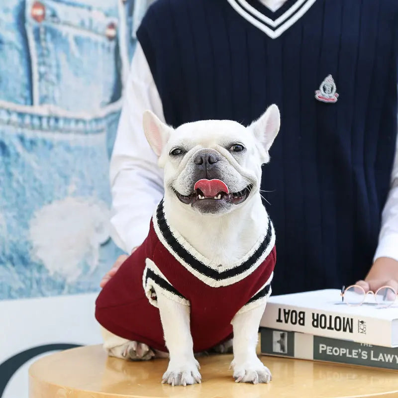 Warm Knit Dog Sweater – Cotton Winter Coat for Small Dogs